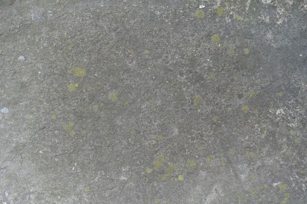 Cost of Slab Staining Service in Lynnwood